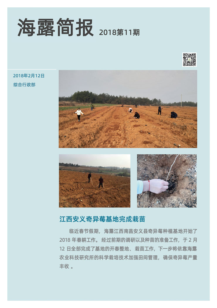 赏金船主·PG(中国游)官方网站