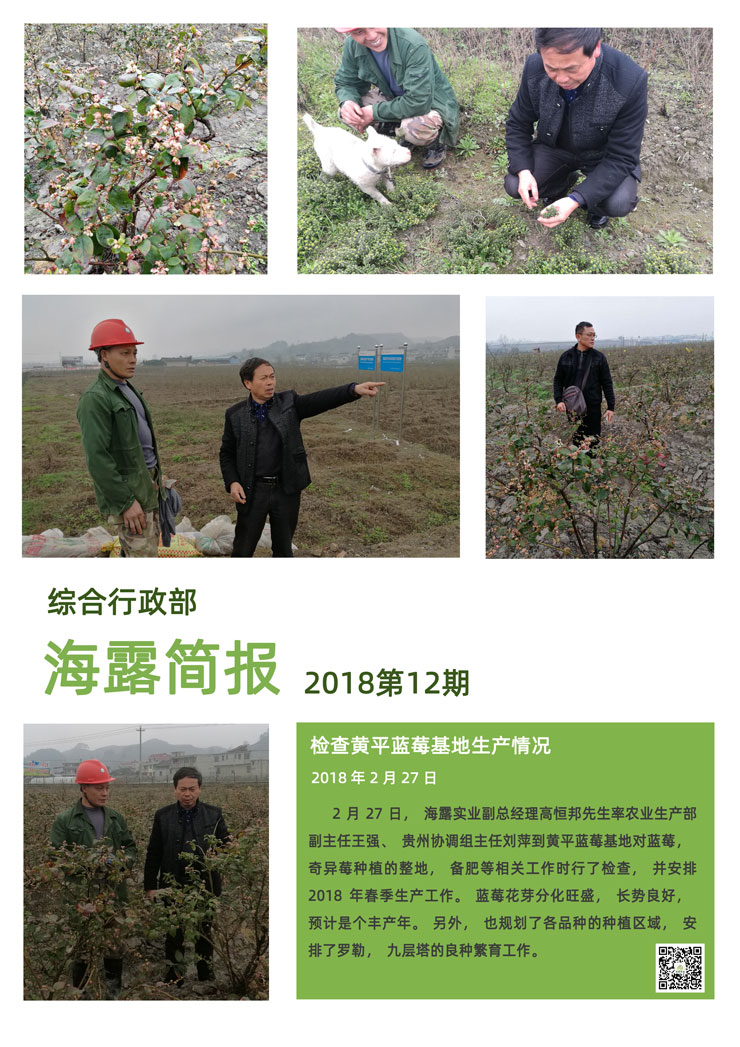 赏金船主·PG(中国游)官方网站