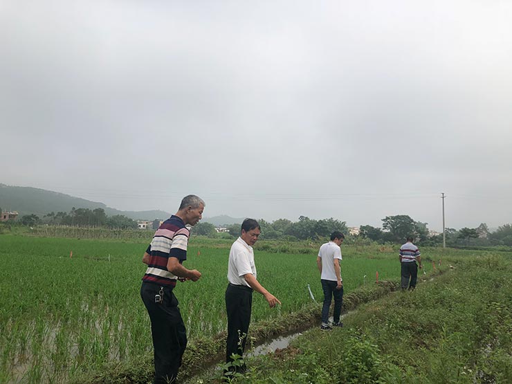 赏金船主·PG(中国游)官方网站