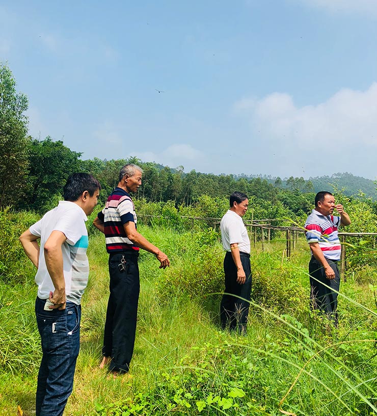 赏金船主·PG(中国游)官方网站