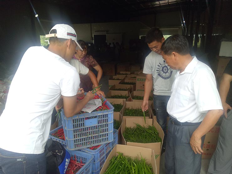 赏金船主·PG(中国游)官方网站