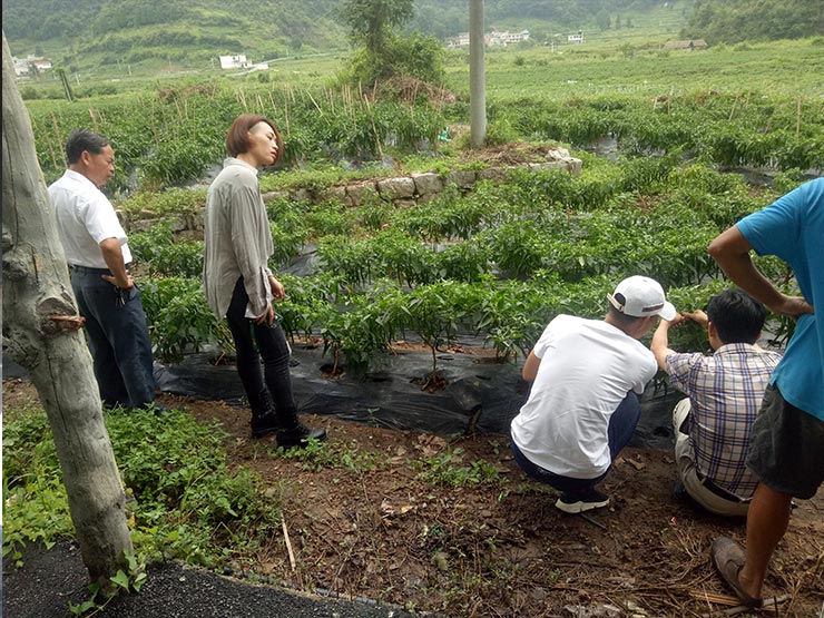 赏金船主·PG(中国游)官方网站