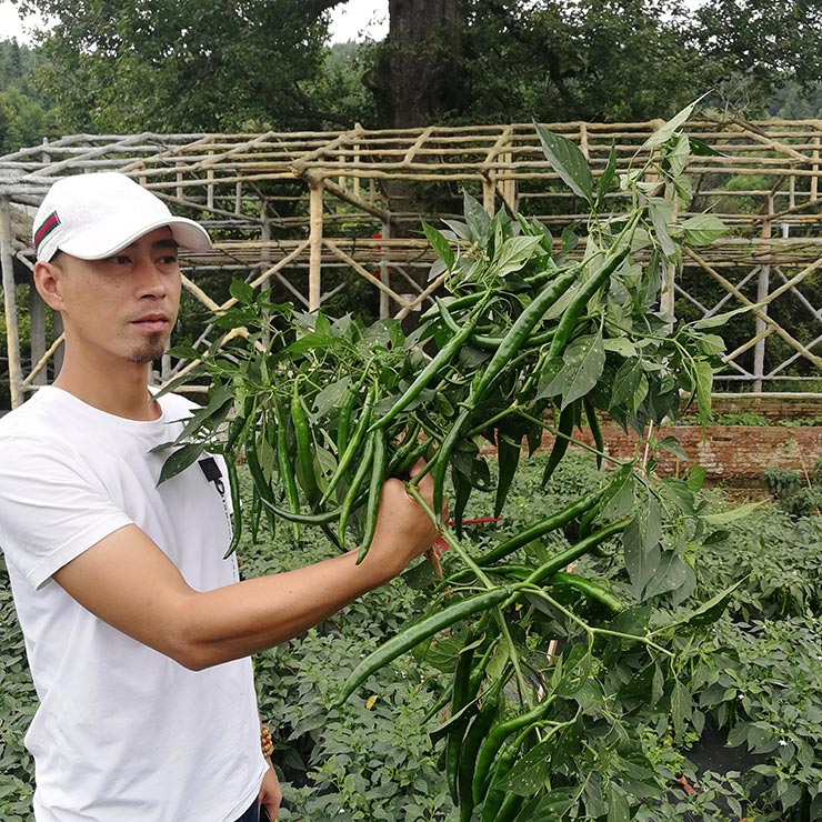 赏金船主·PG(中国游)官方网站