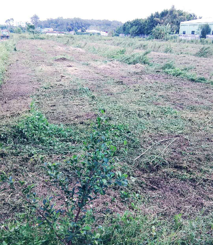 赏金船主·PG(中国游)官方网站