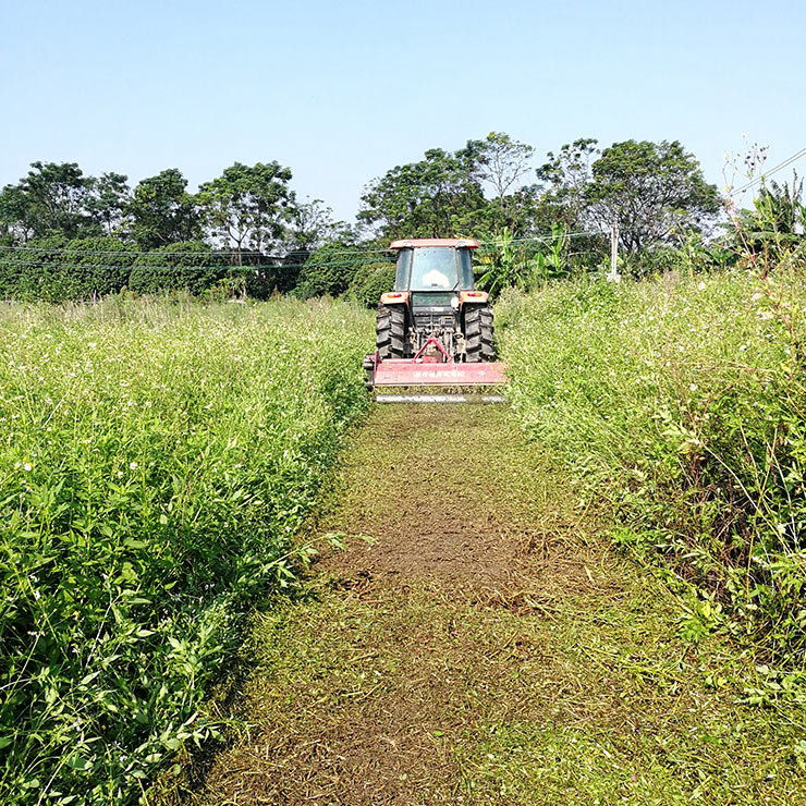 赏金船主·PG(中国游)官方网站