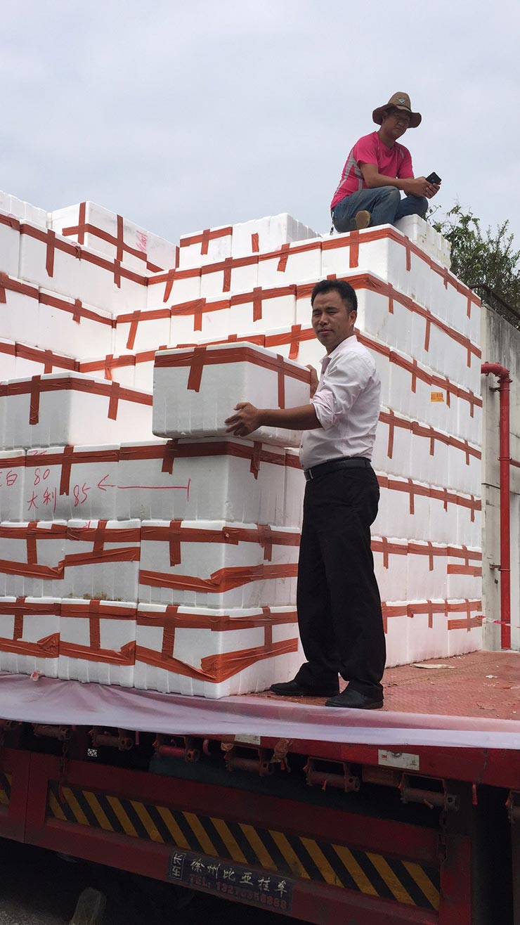 赏金船主·PG(中国游)官方网站