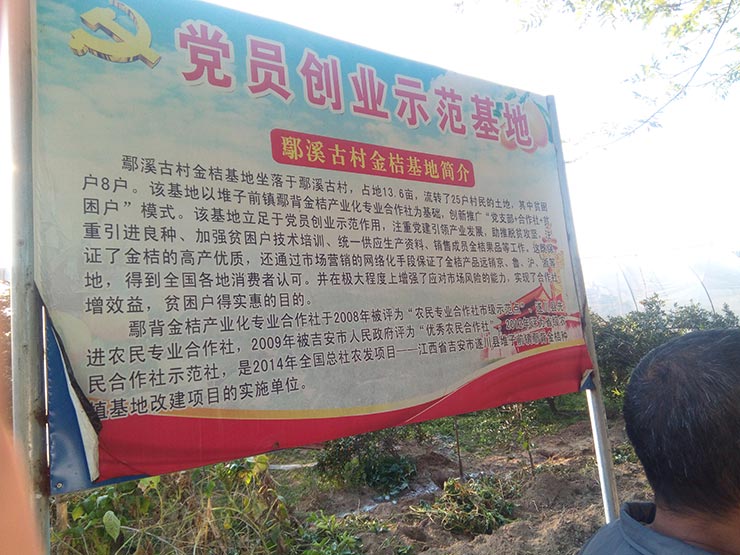 赏金船主·PG(中国游)官方网站