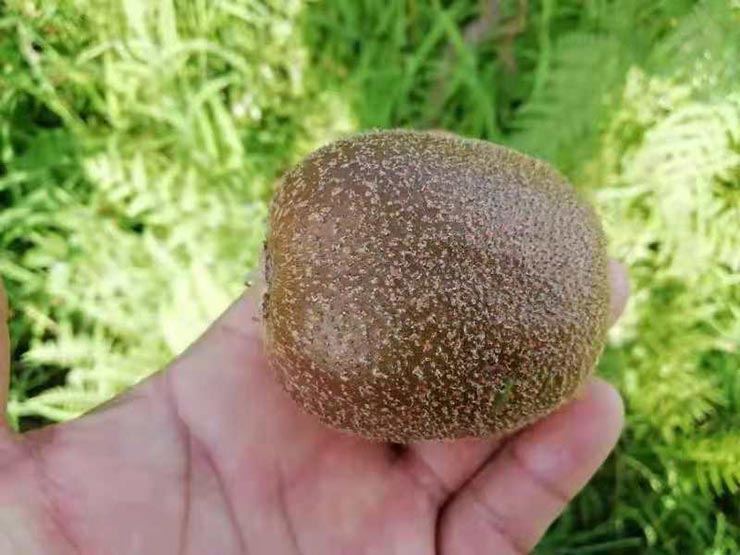 赏金船主·PG(中国游)官方网站