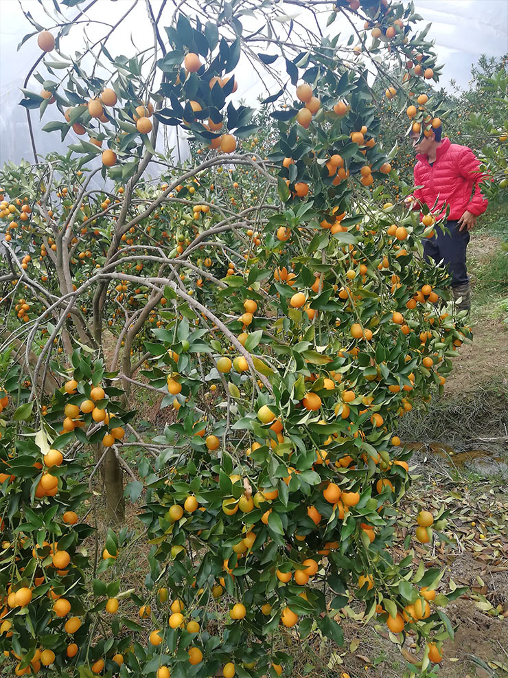 赏金船主·PG(中国游)官方网站