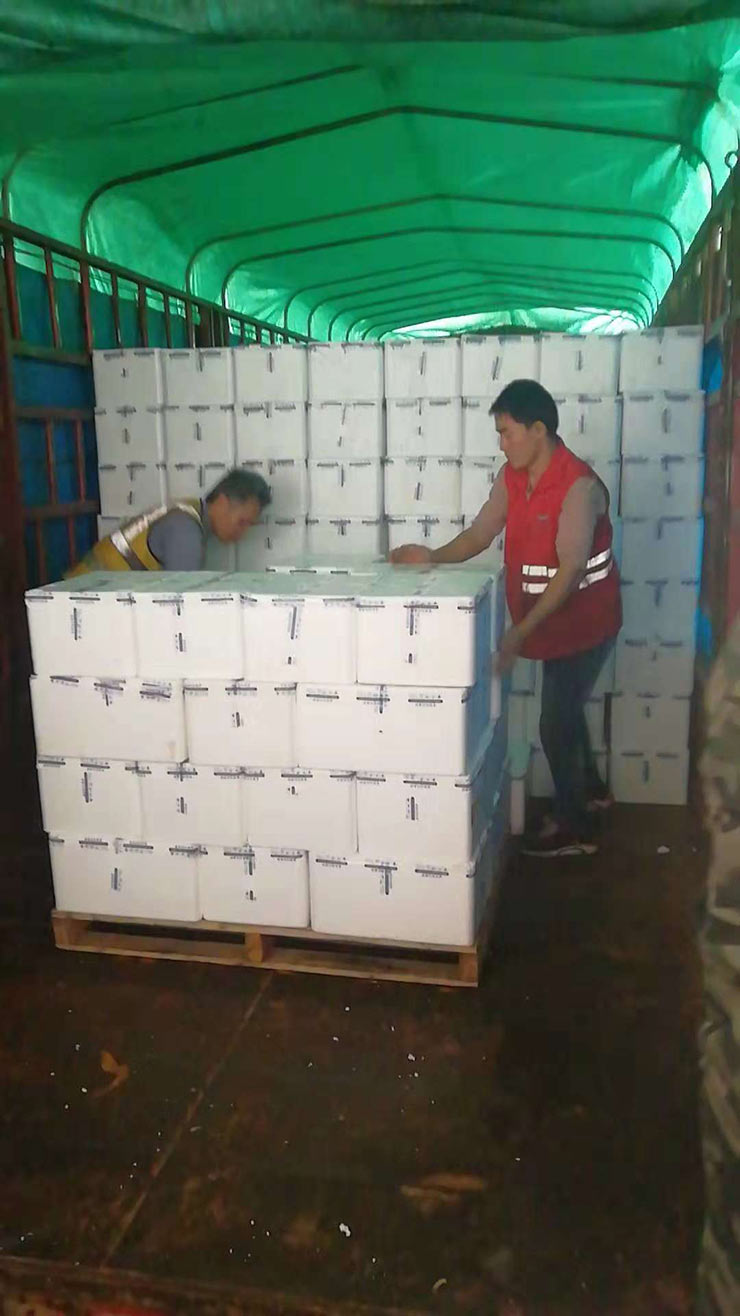 赏金船主·PG(中国游)官方网站