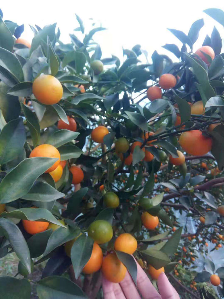 赏金船主·PG(中国游)官方网站