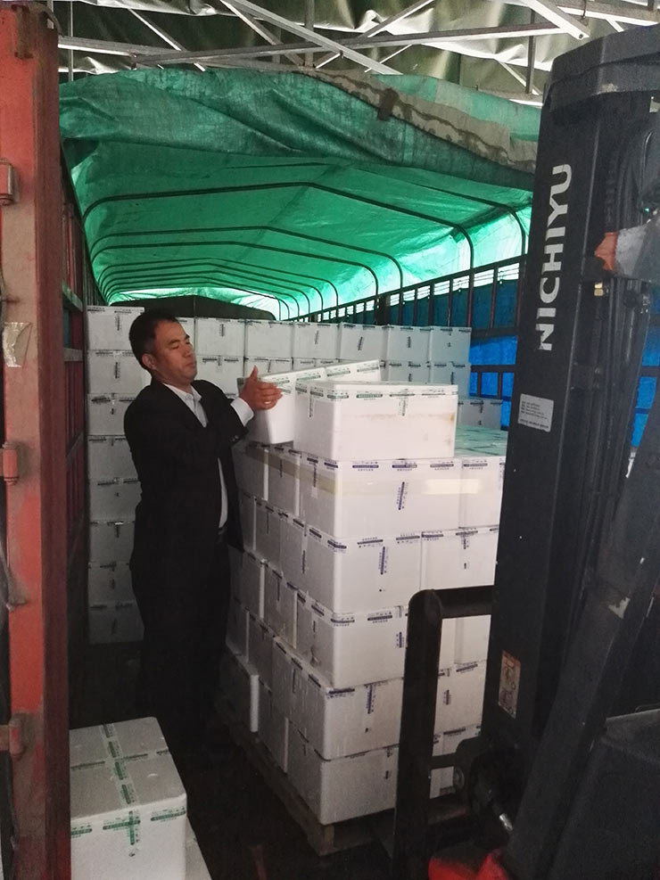 赏金船主·PG(中国游)官方网站