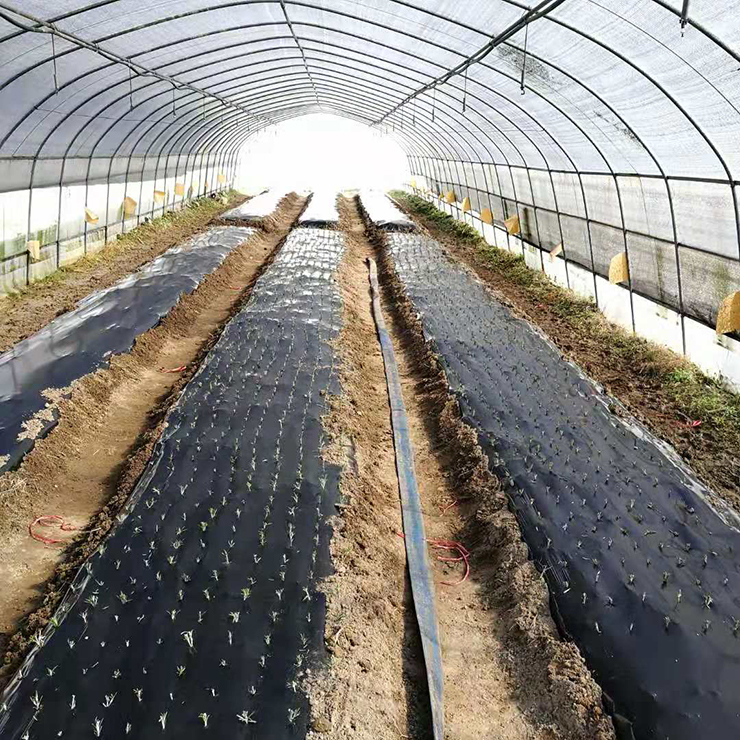 赏金船主·PG(中国游)官方网站