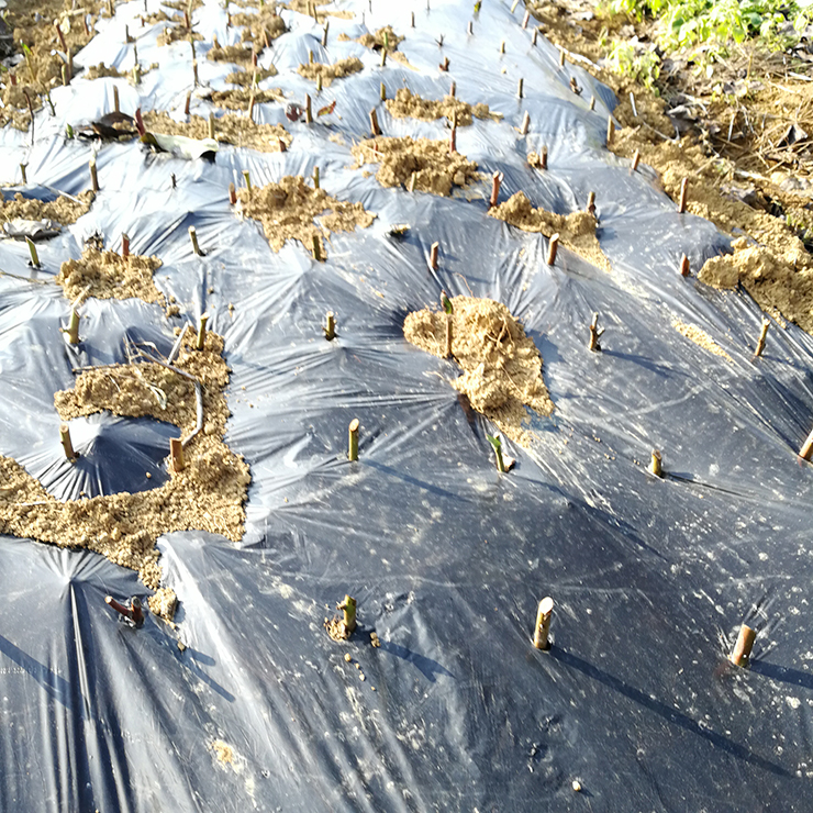 赏金船主·PG(中国游)官方网站