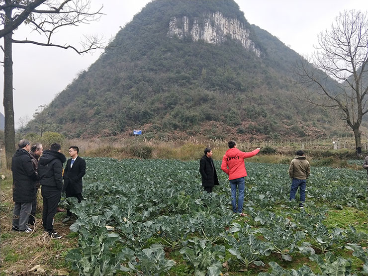 赏金船主·PG(中国游)官方网站