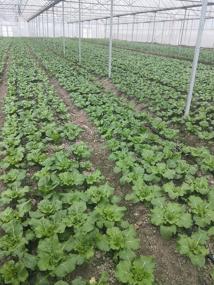 赏金船主·PG(中国游)官方网站