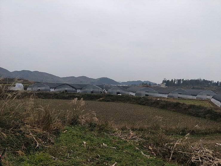 赏金船主·PG(中国游)官方网站