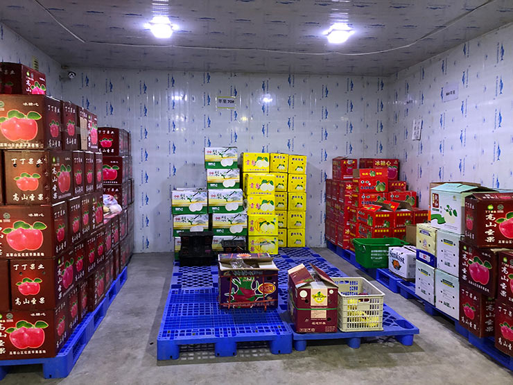 赏金船主·PG(中国游)官方网站