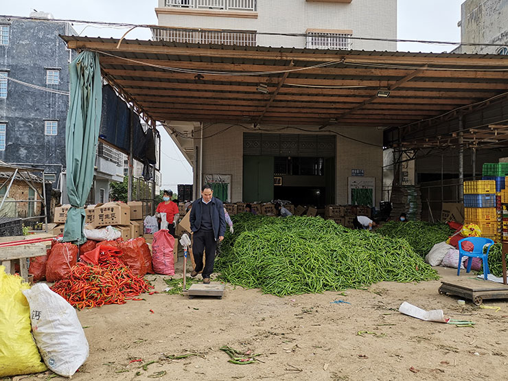 赏金船主·PG(中国游)官方网站