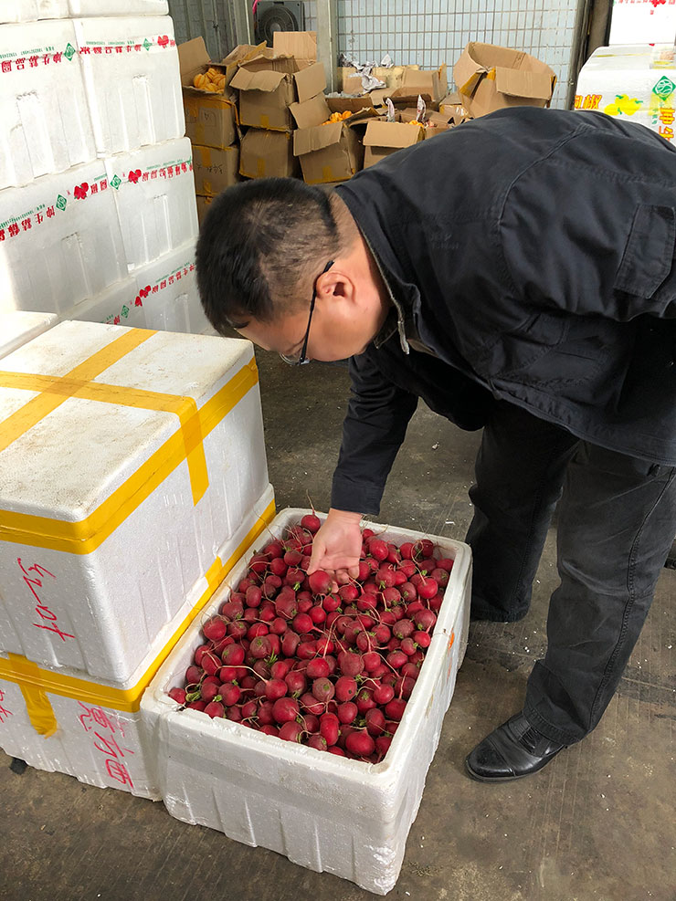 赏金船主·PG(中国游)官方网站