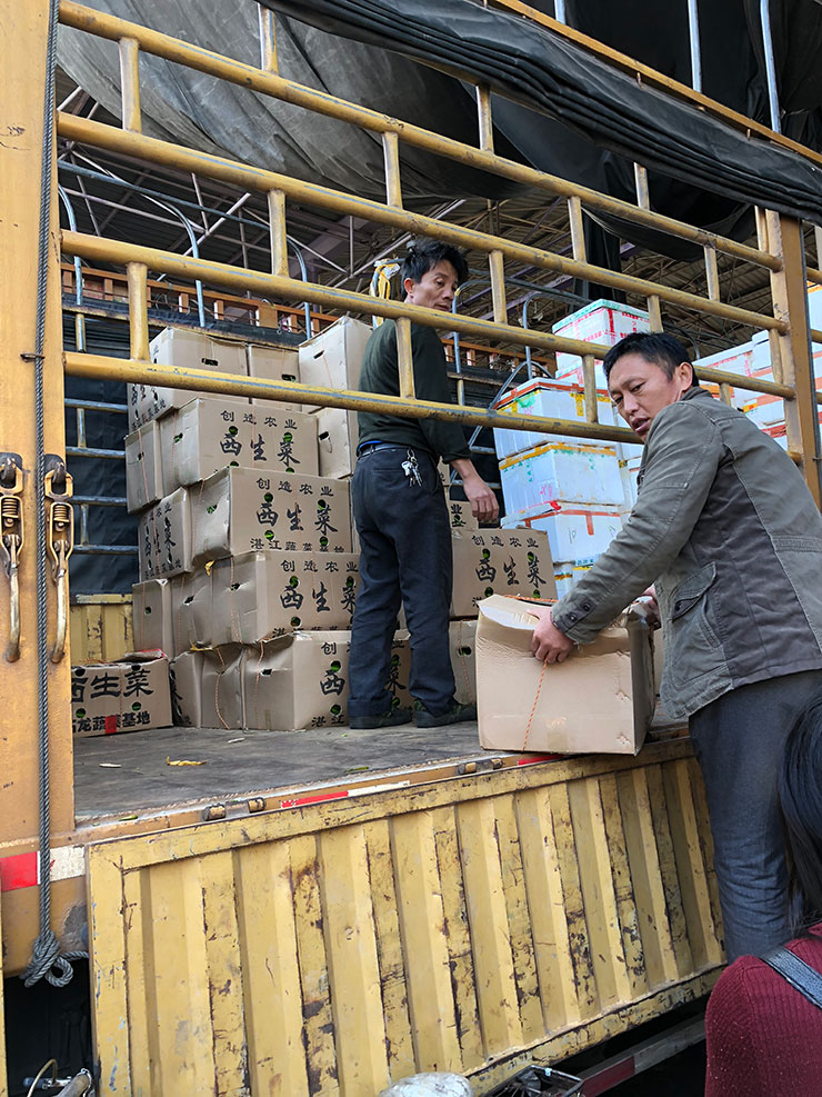 赏金船主·PG(中国游)官方网站