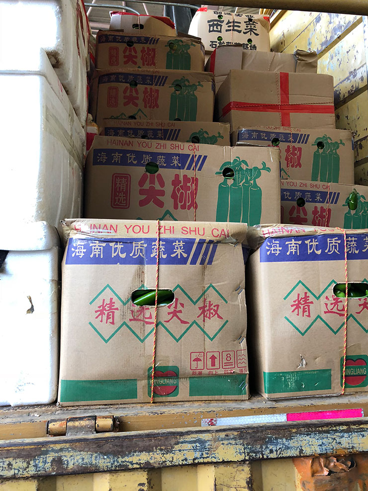 赏金船主·PG(中国游)官方网站