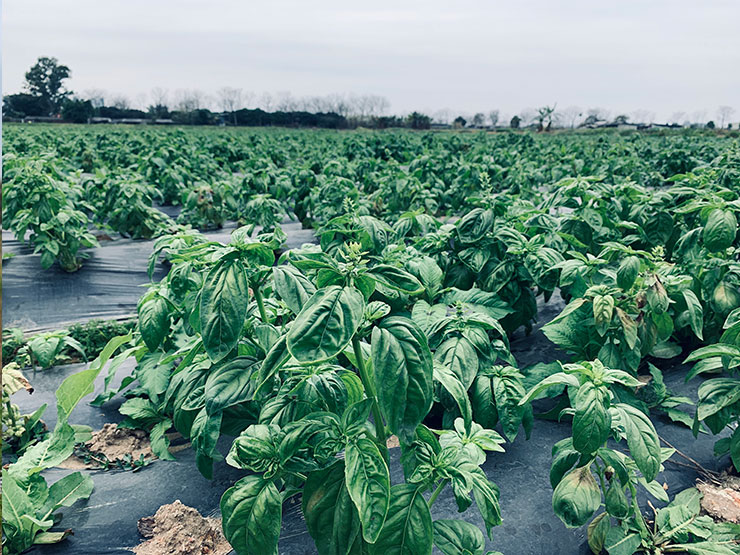 赏金船主·PG(中国游)官方网站