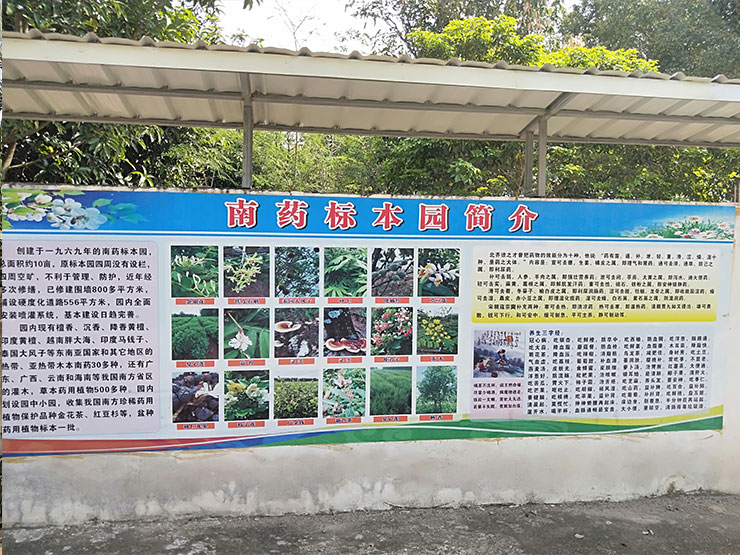 赏金船主·PG(中国游)官方网站