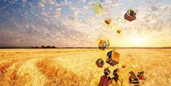 赏金船主·PG(中国游)官方网站