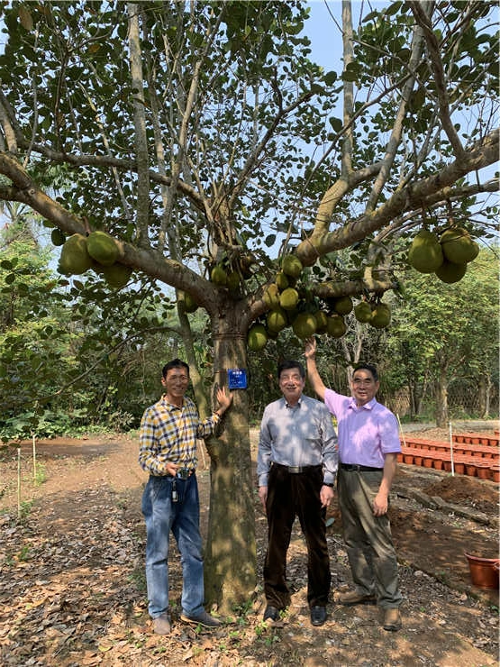 赏金船主·PG(中国游)官方网站