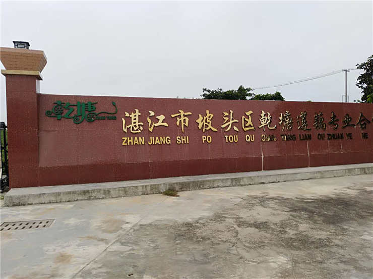 赏金船主·PG(中国游)官方网站