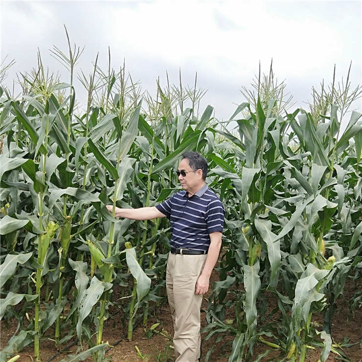 赏金船主·PG(中国游)官方网站