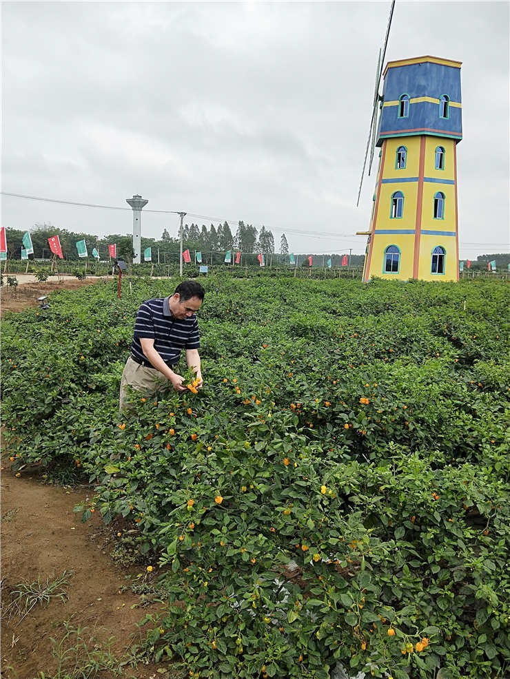 赏金船主·PG(中国游)官方网站