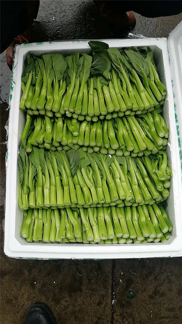 赏金船主·PG(中国游)官方网站