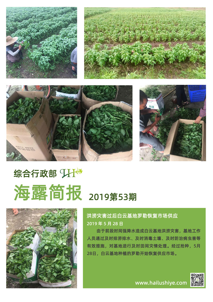 赏金船主·PG(中国游)官方网站