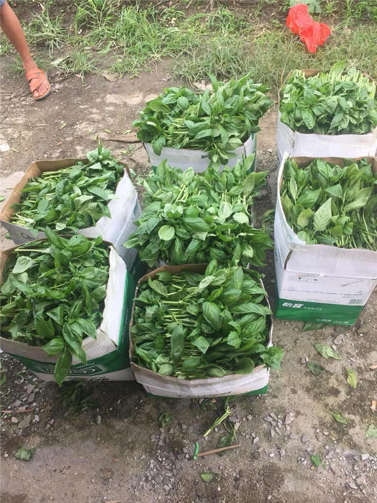 赏金船主·PG(中国游)官方网站