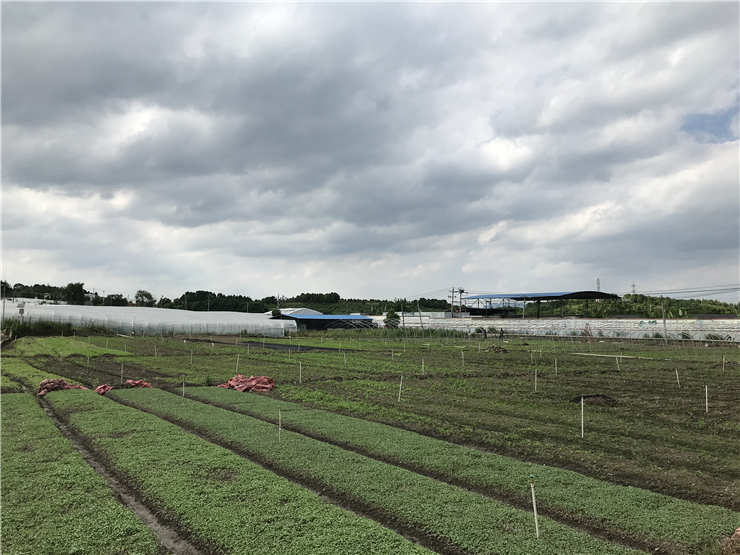 赏金船主·PG(中国游)官方网站