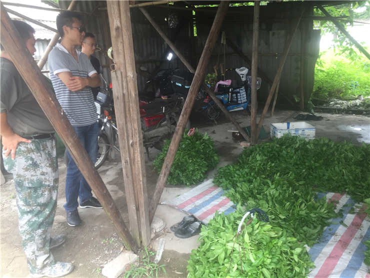 赏金船主·PG(中国游)官方网站