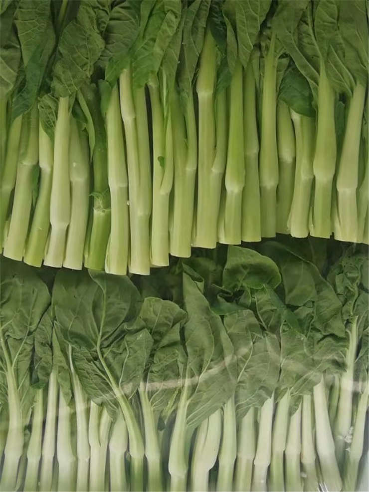 赏金船主·PG(中国游)官方网站