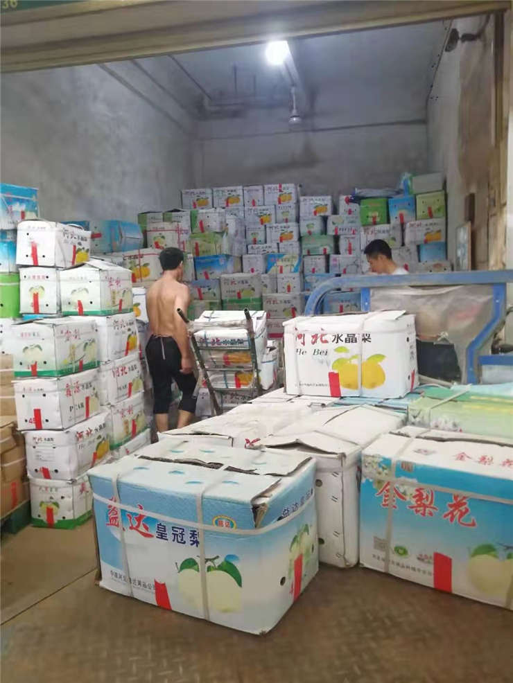 赏金船主·PG(中国游)官方网站