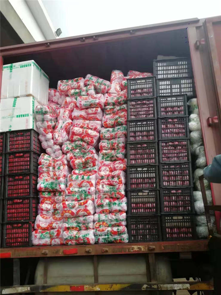 赏金船主·PG(中国游)官方网站