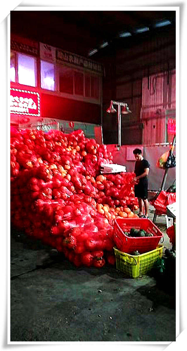 赏金船主·PG(中国游)官方网站