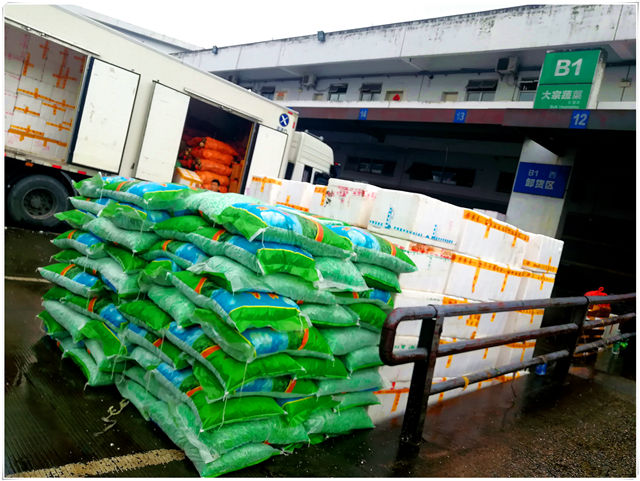 赏金船主·PG(中国游)官方网站