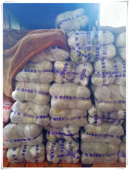 赏金船主·PG(中国游)官方网站