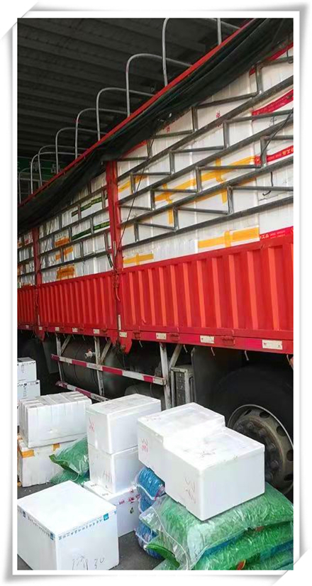 赏金船主·PG(中国游)官方网站