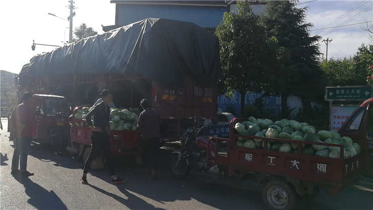 赏金船主·PG(中国游)官方网站