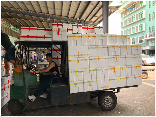 赏金船主·PG(中国游)官方网站