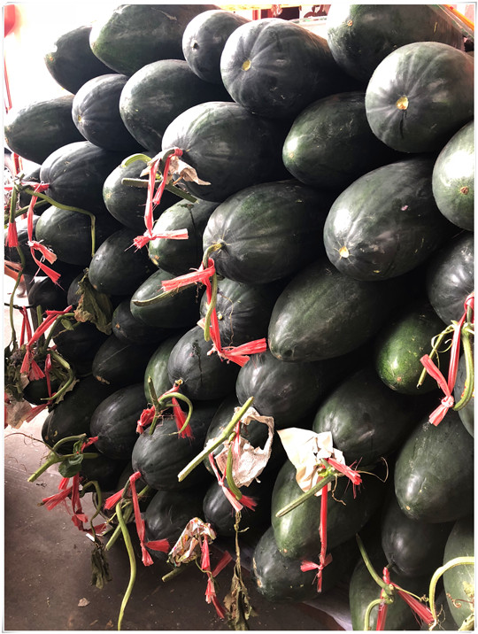 赏金船主·PG(中国游)官方网站