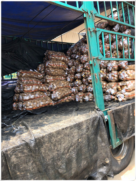 赏金船主·PG(中国游)官方网站