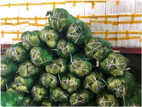 赏金船主·PG(中国游)官方网站